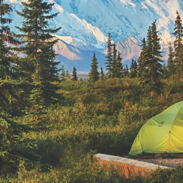 Camping Is The Best Way to Explore Denali National Park