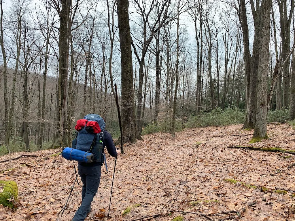 Hike the Rimrock-Morrison Trail