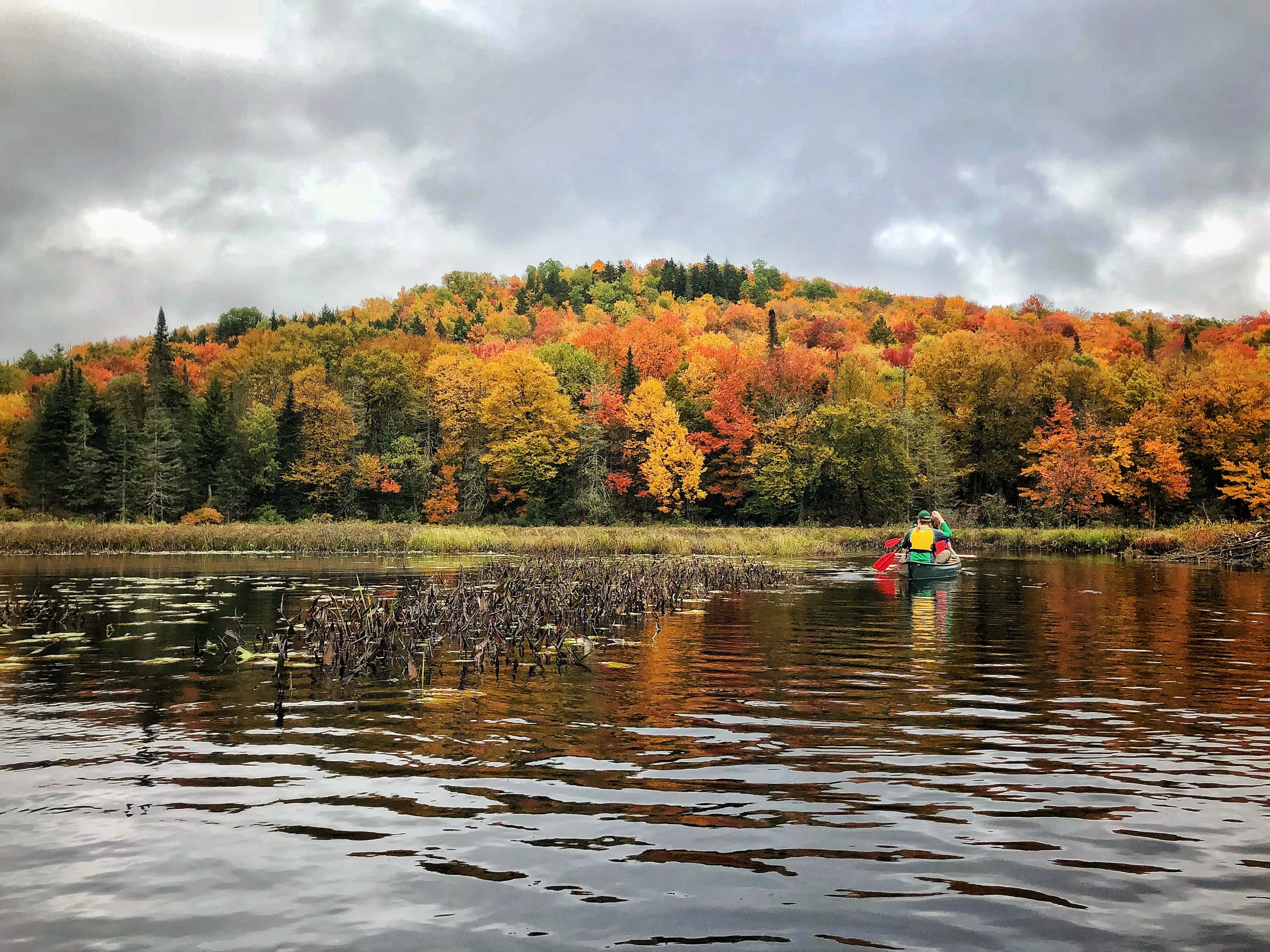 Paddle the Sacandaga and Kunjamuk Rivers to Elm Lake