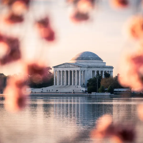 7 Photos of Washington D.C.'s Beautiful Cherry Blossoms