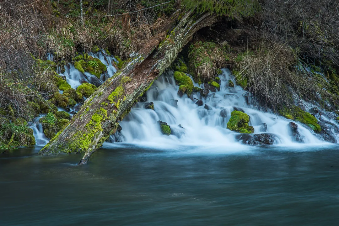Hike the West Metolius River Trail