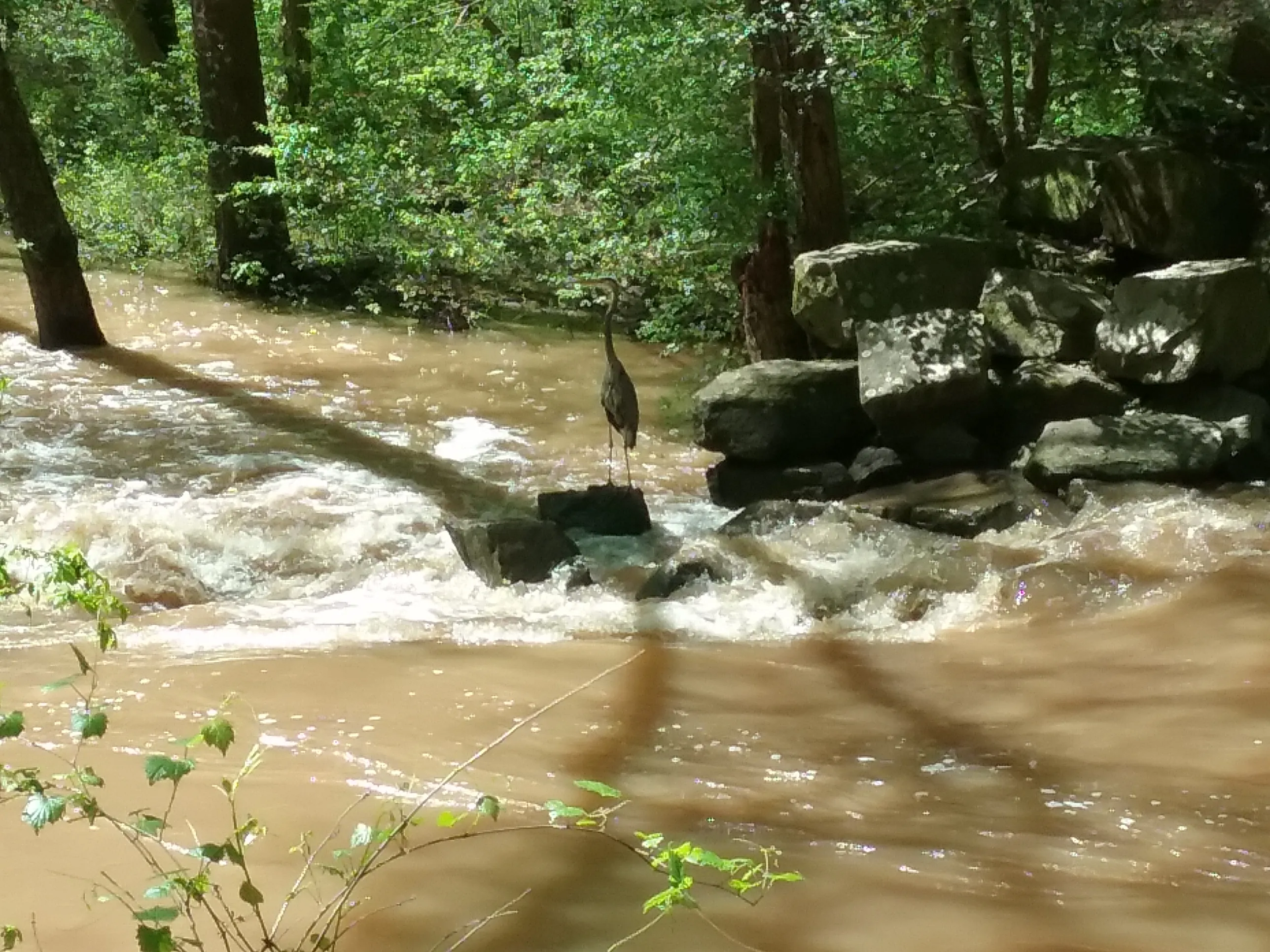 Company Mill Trail