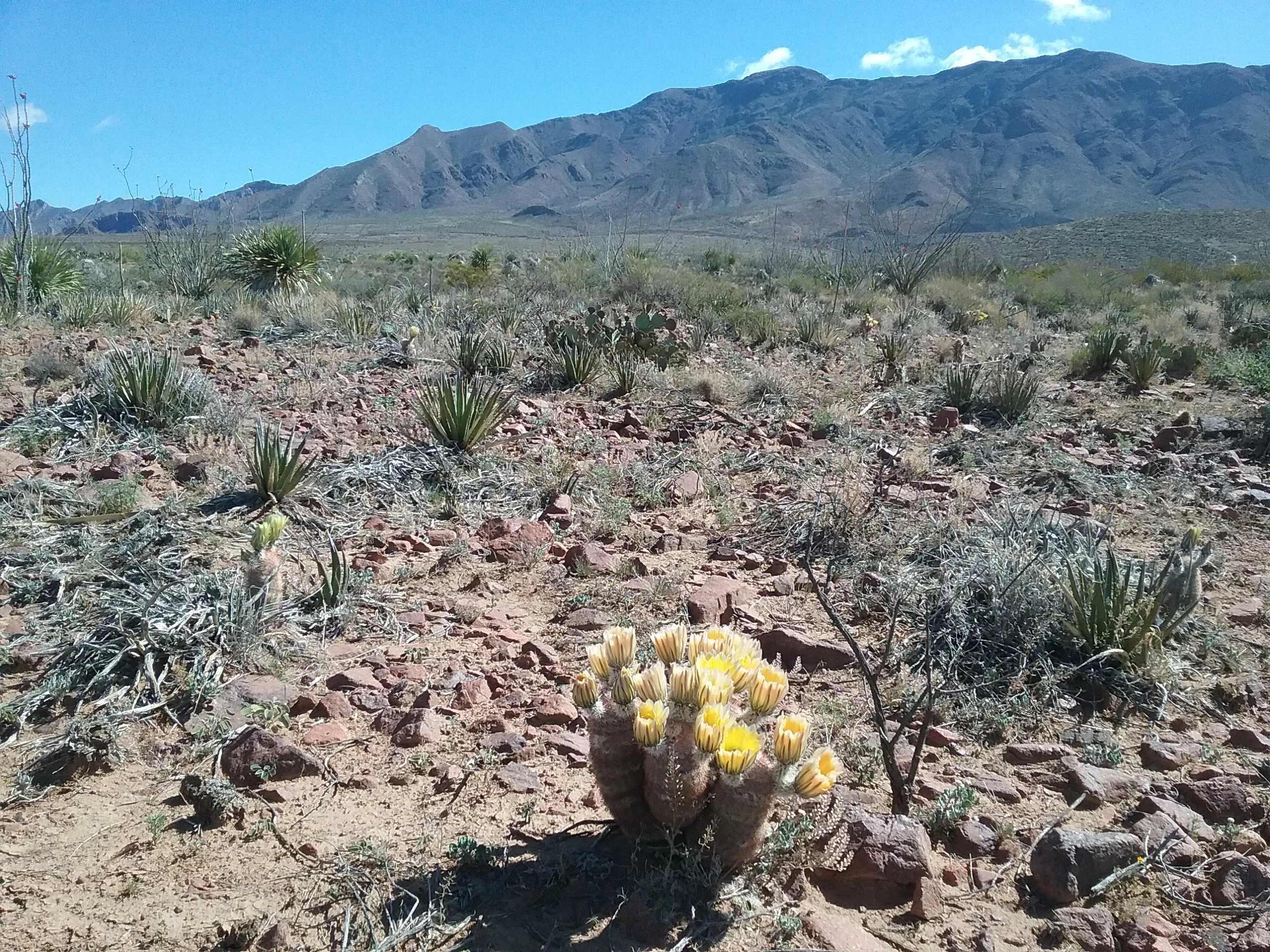 Hike the Mayberry Trail