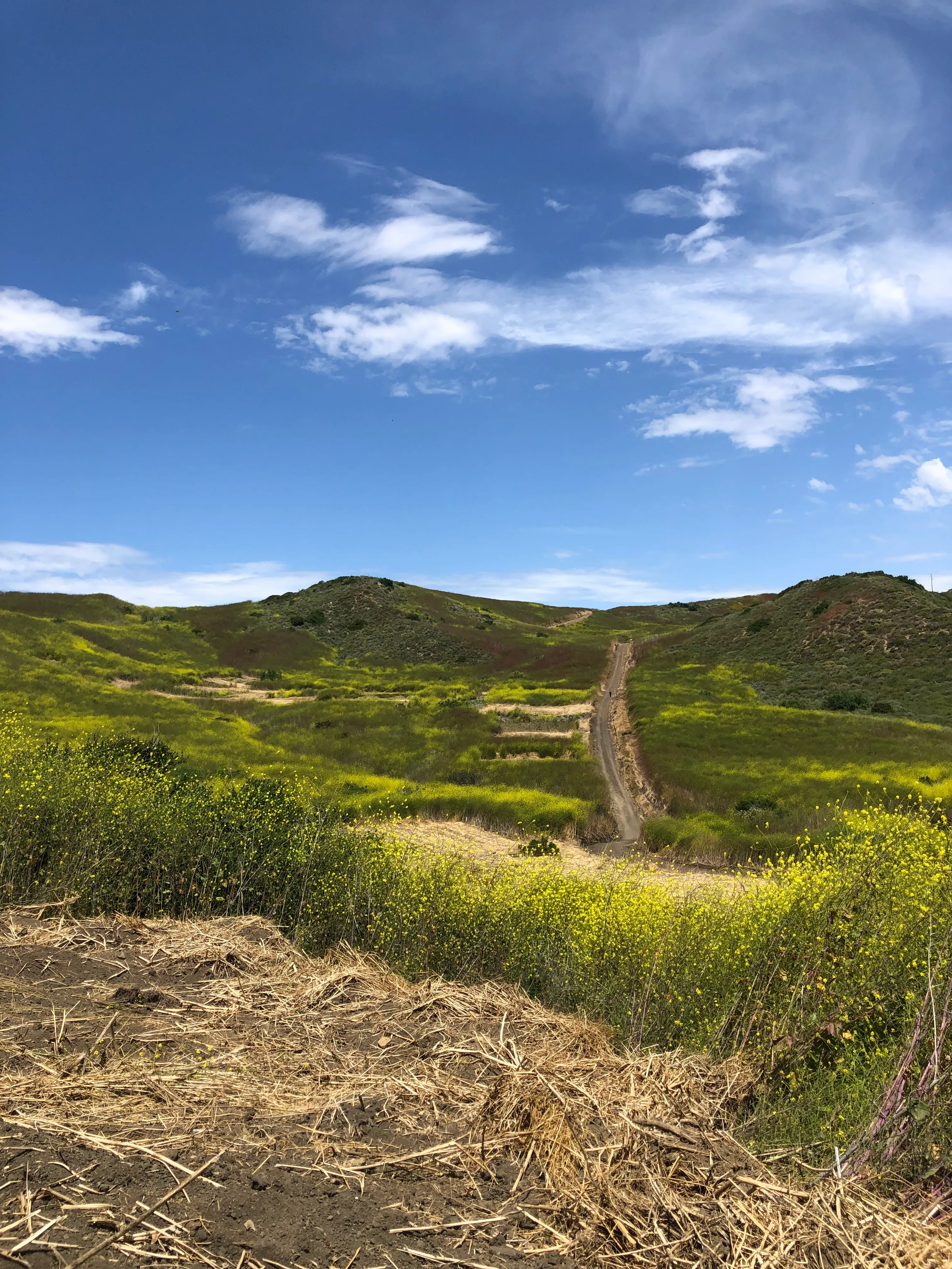 El Moro Canyon Trail 