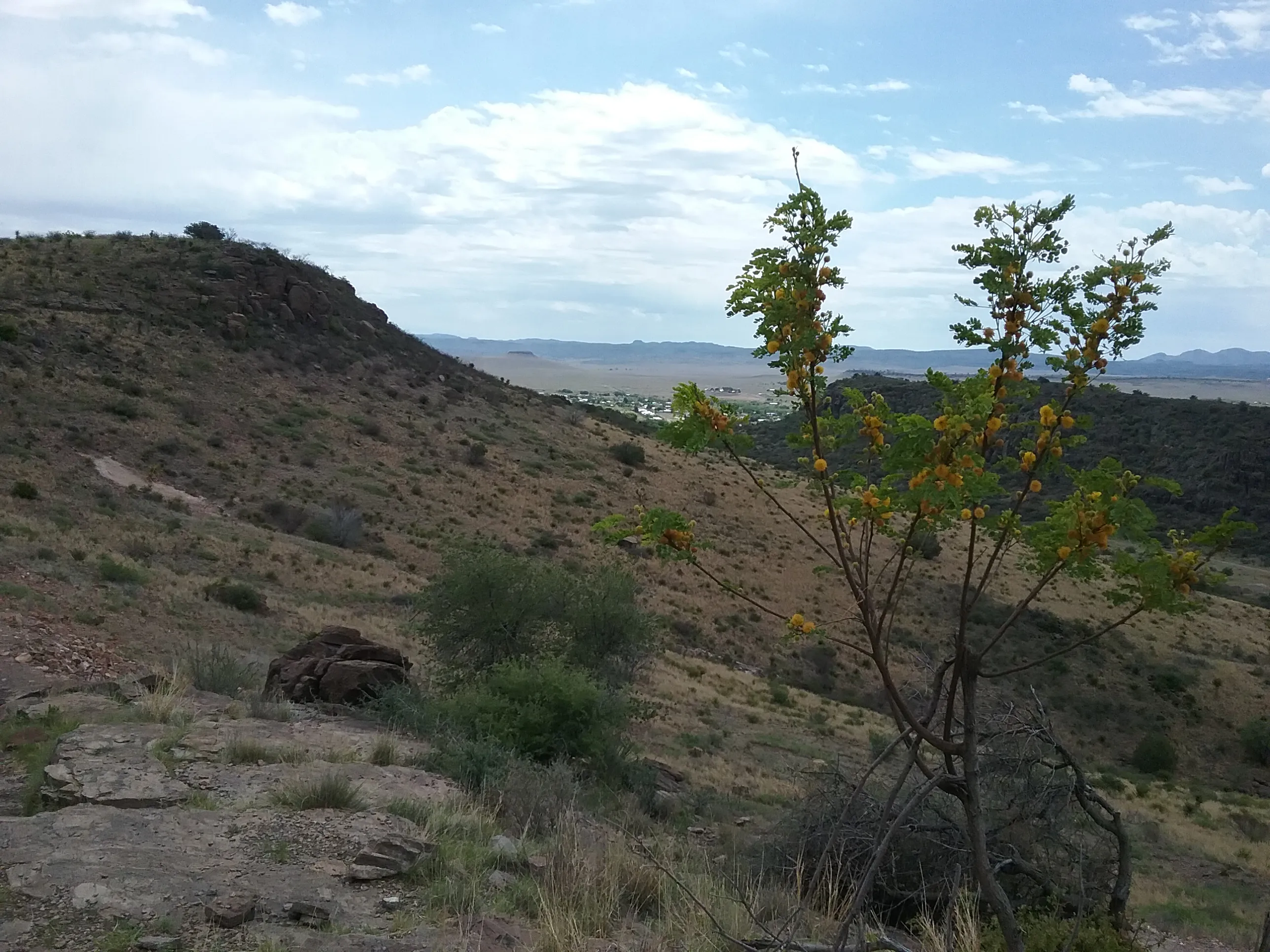 Davis Mountains Scenic Loop