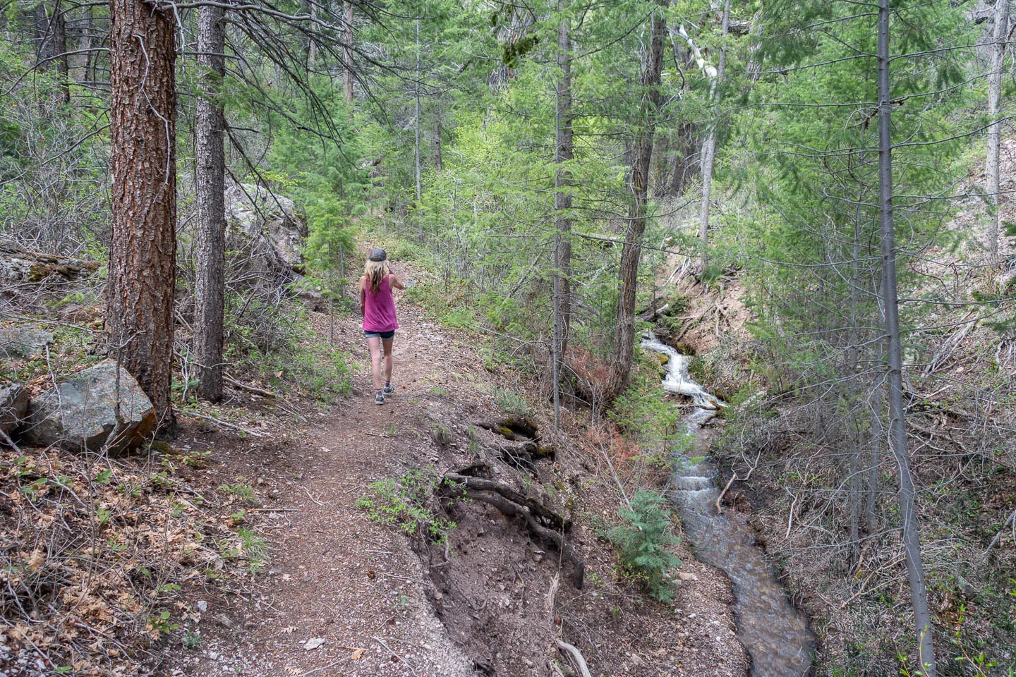 Hike Joe Lott Trail #051