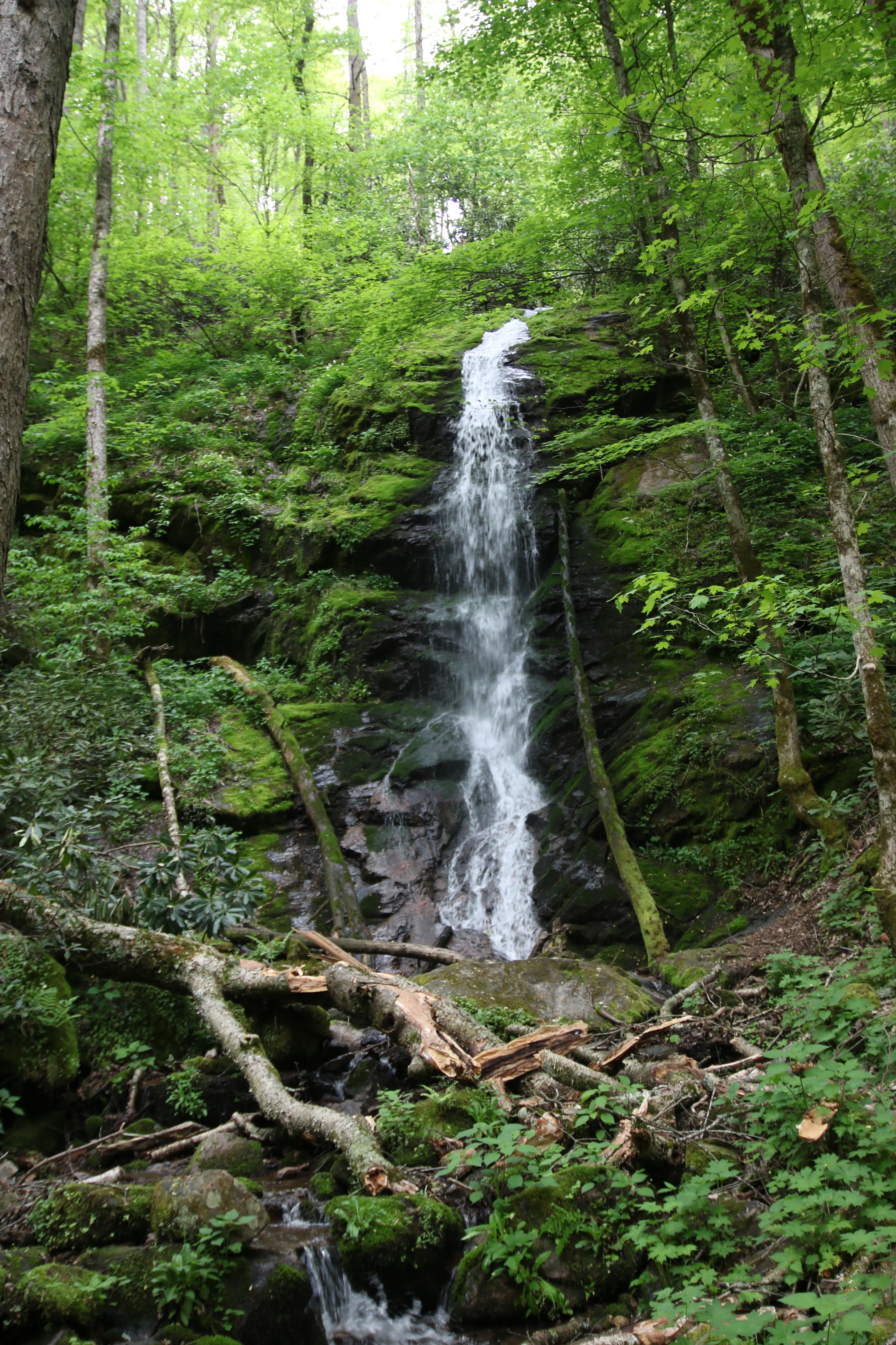 Hike to Little Fall Branch falls