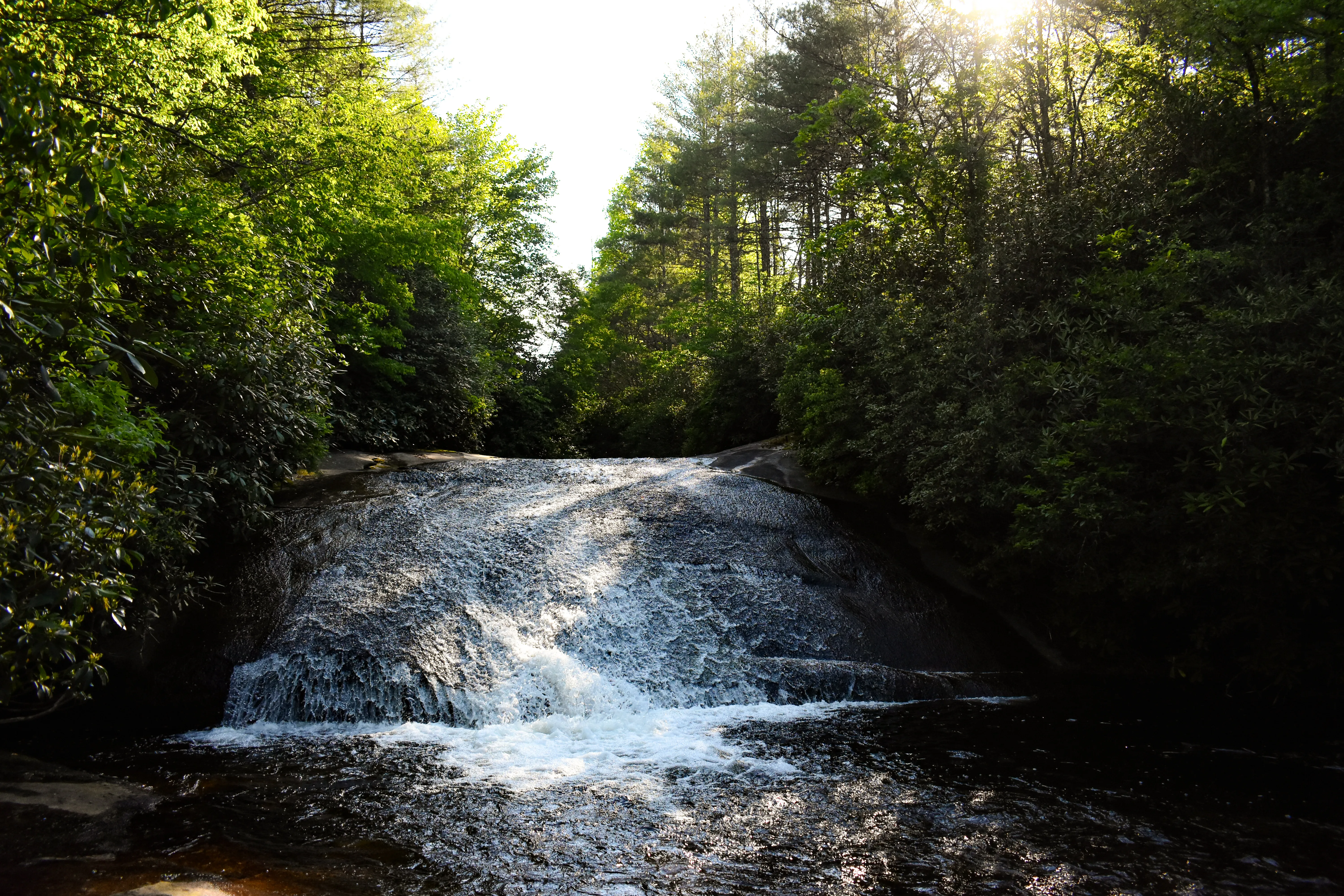 Hike to Granny Burrell Falls