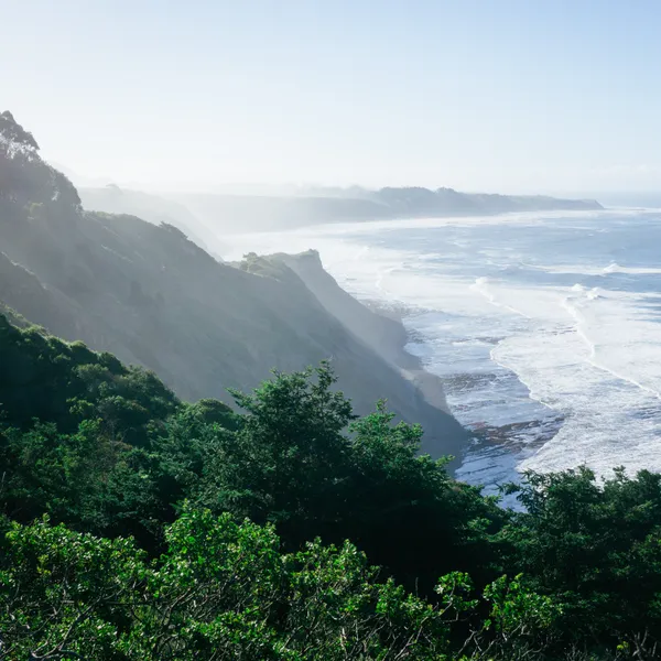 9 Gorgeous Beach Adventures in Marin County