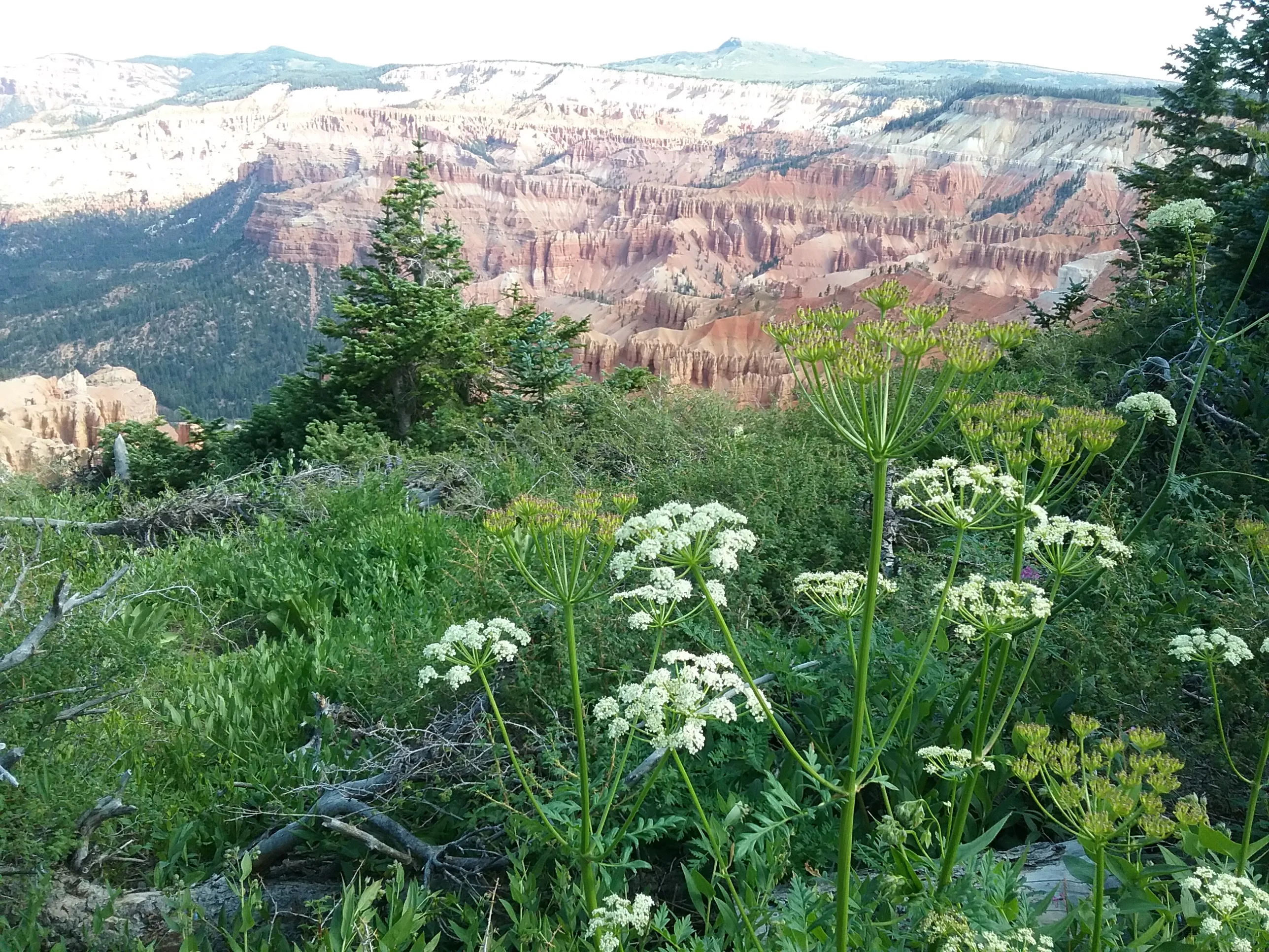 Hike the Spectra Point and Rampart Overlook Trails