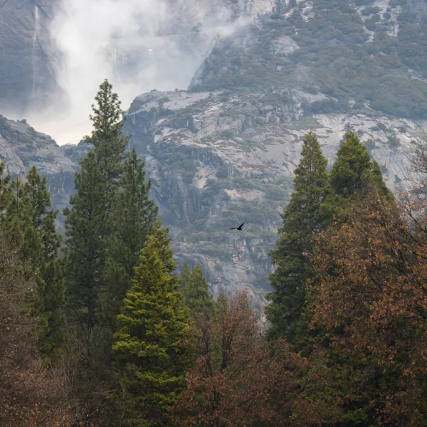 A Solo Road-Trip through Yosemite, the Redwoods and the Oregon Coast