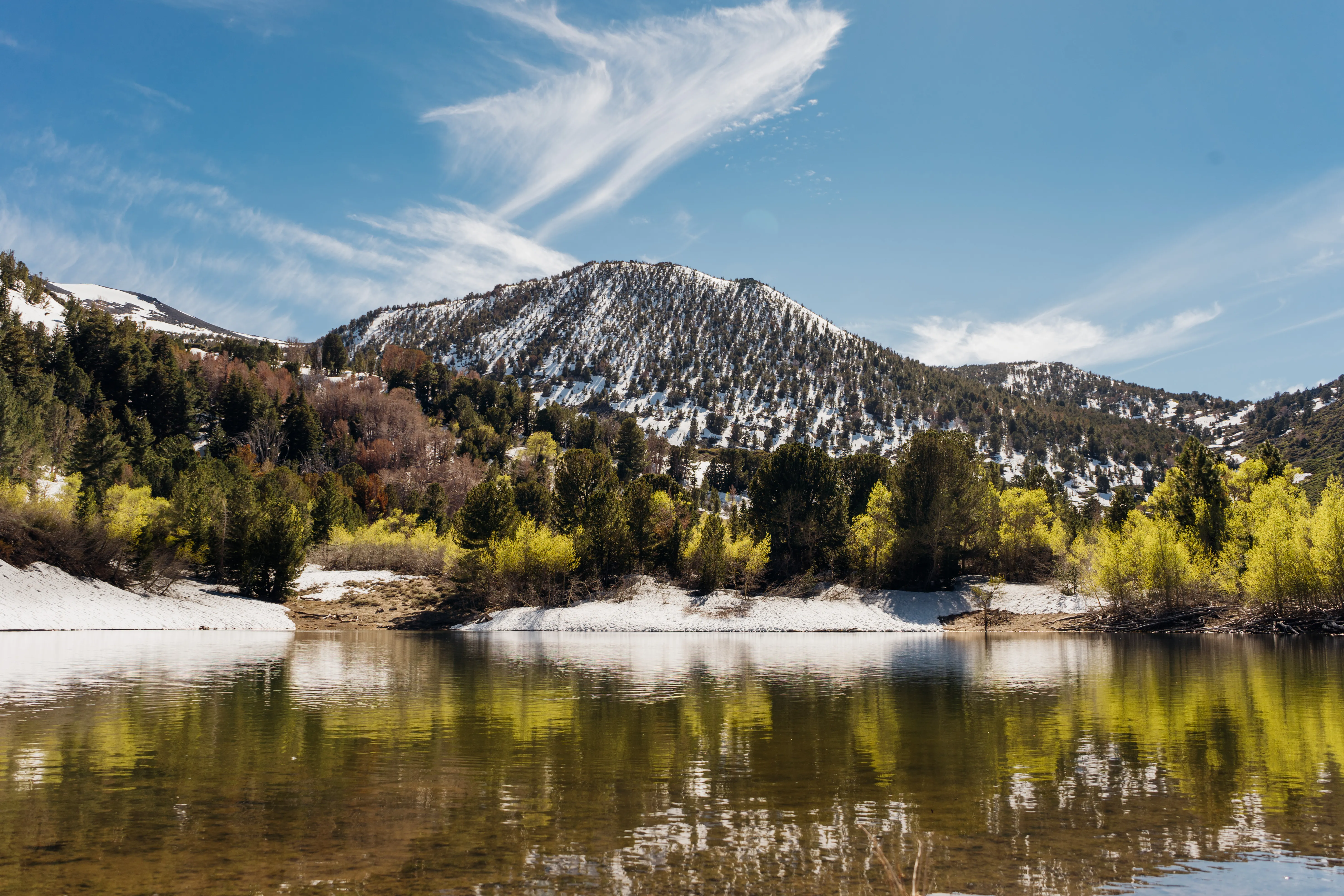 Church's Pond via the Jones-Whites Creek Trail