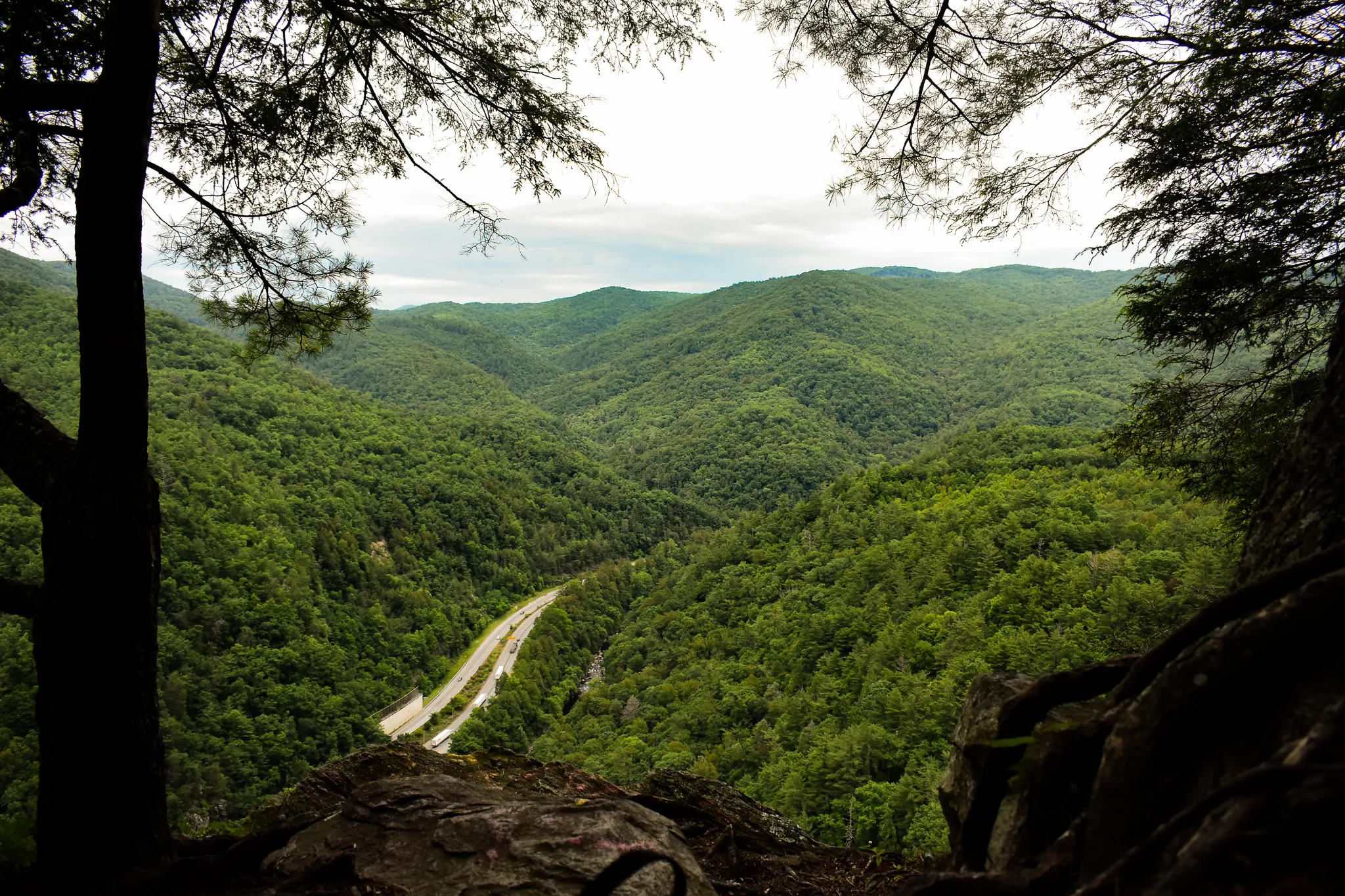 Photograph the Smokies from Buzzards Roost 