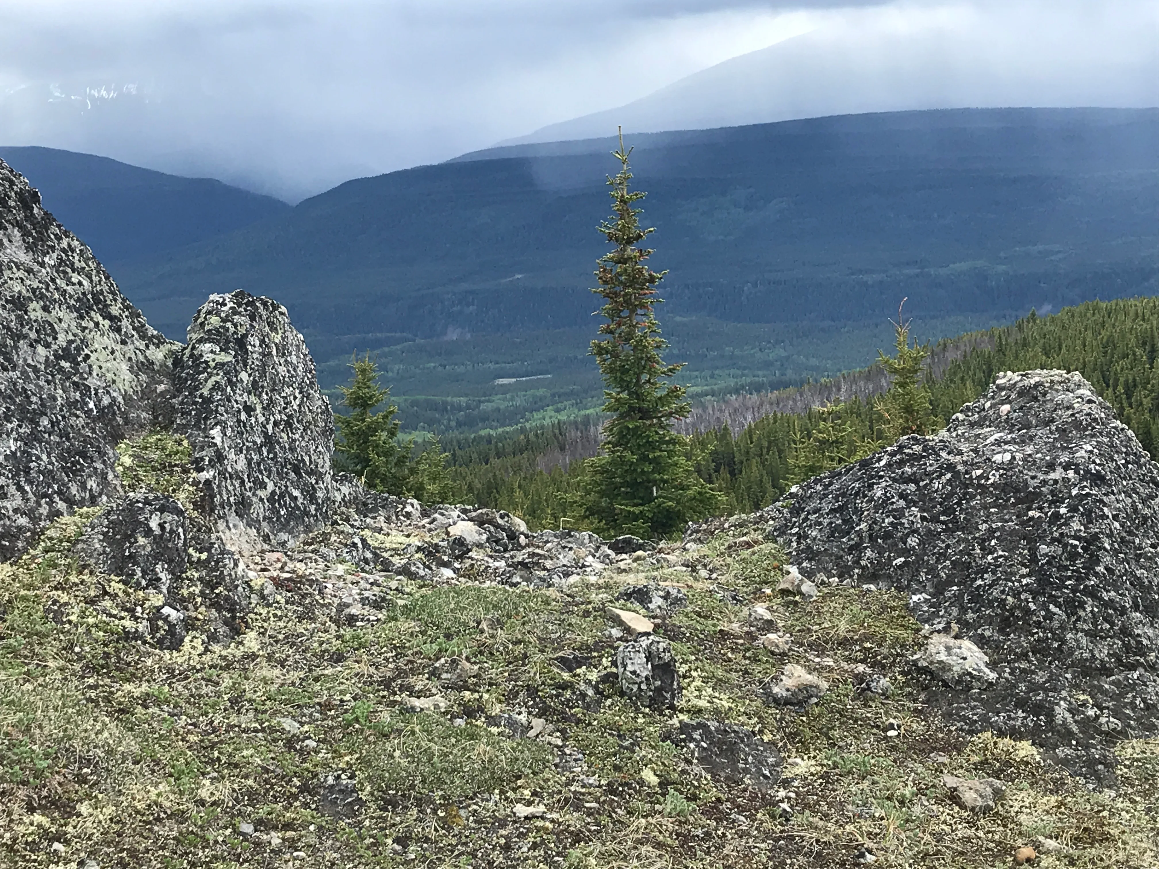 Hike Mount Louie