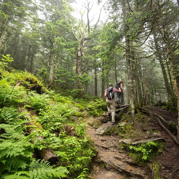 Top 5 Adventures in Vermont