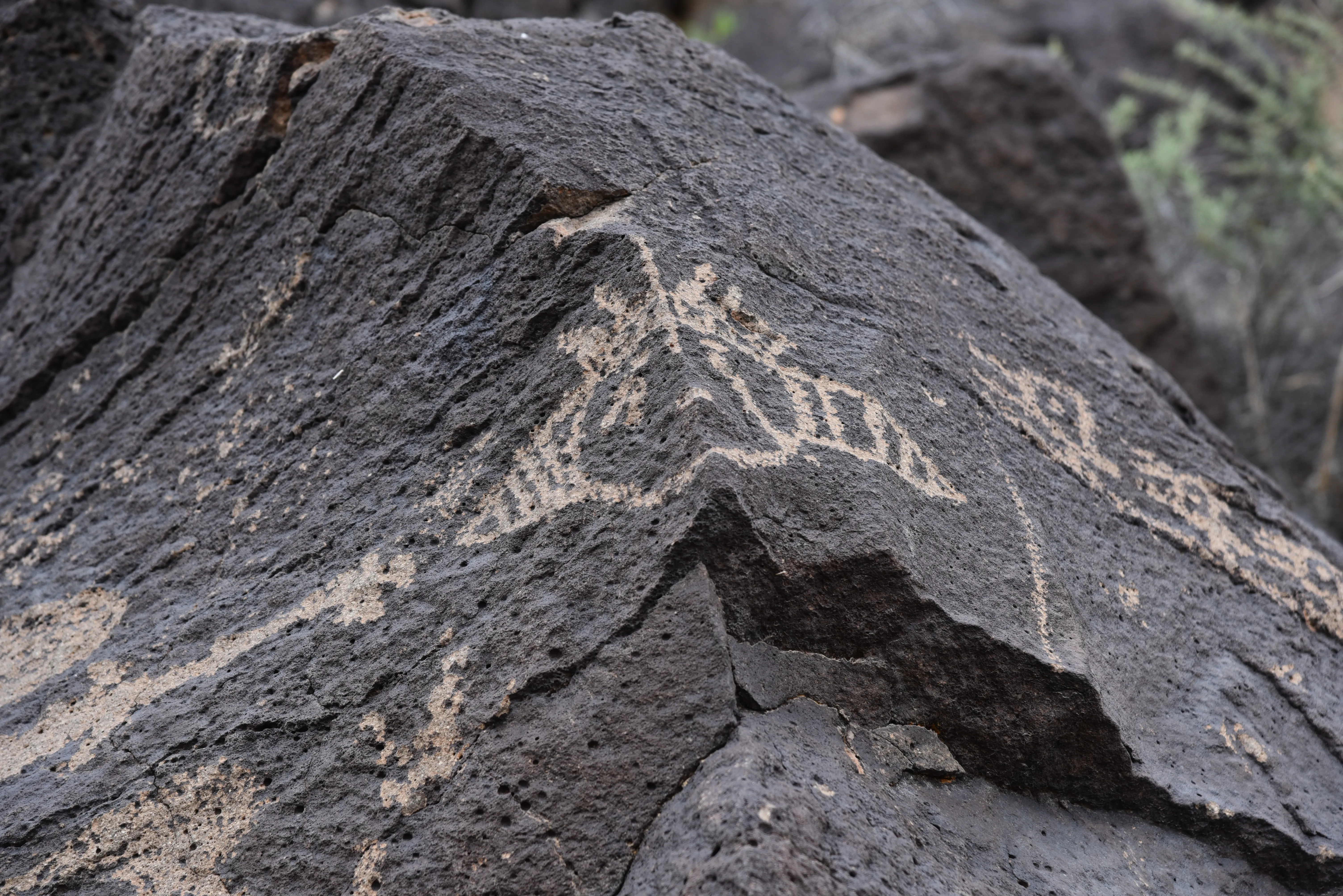 Petroglyphs National Monument, Albuquerque, New Mexico