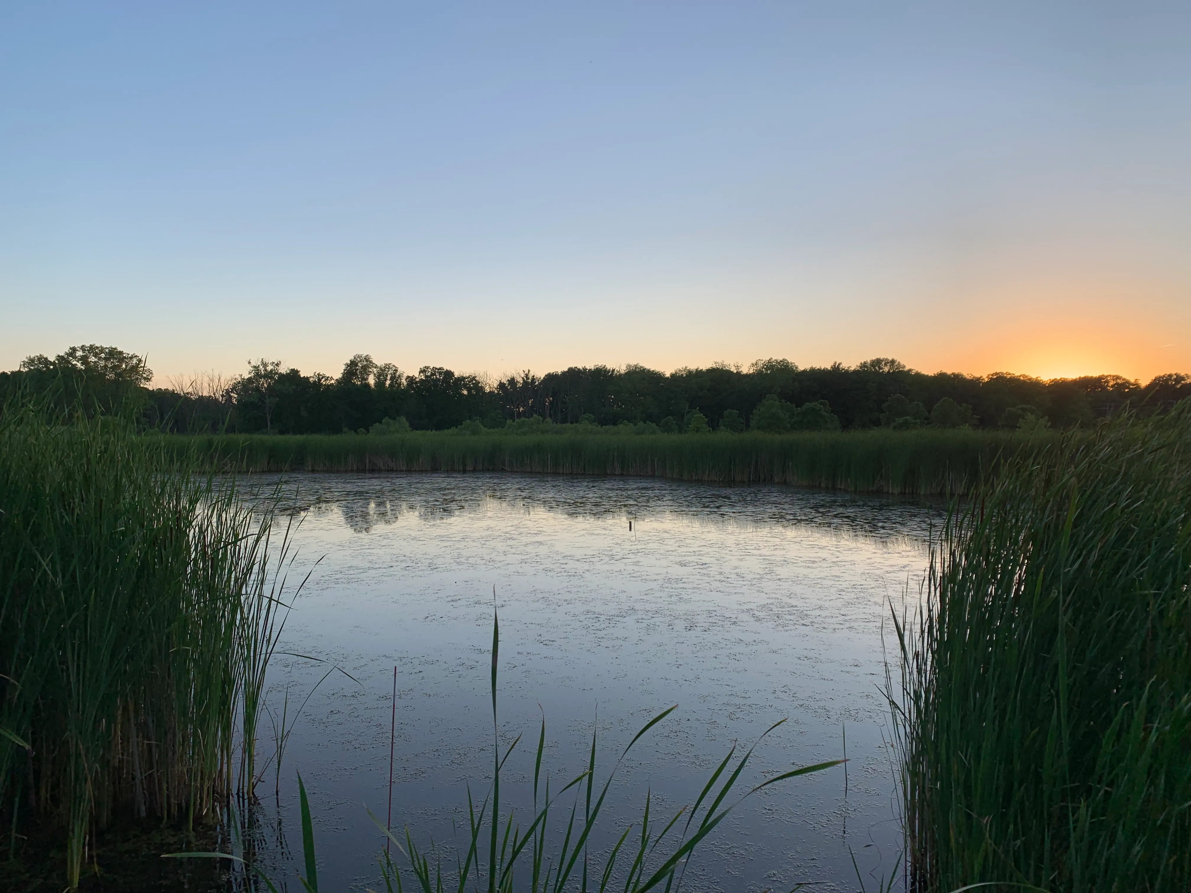 Hike the Prairie Wolf Slough Loop