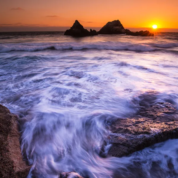 7 Dog-Friendly Hikes near Marin County