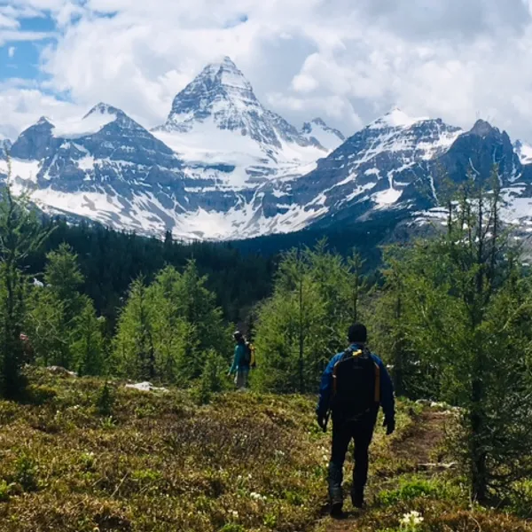 Hiking from Assiniboine Lodge