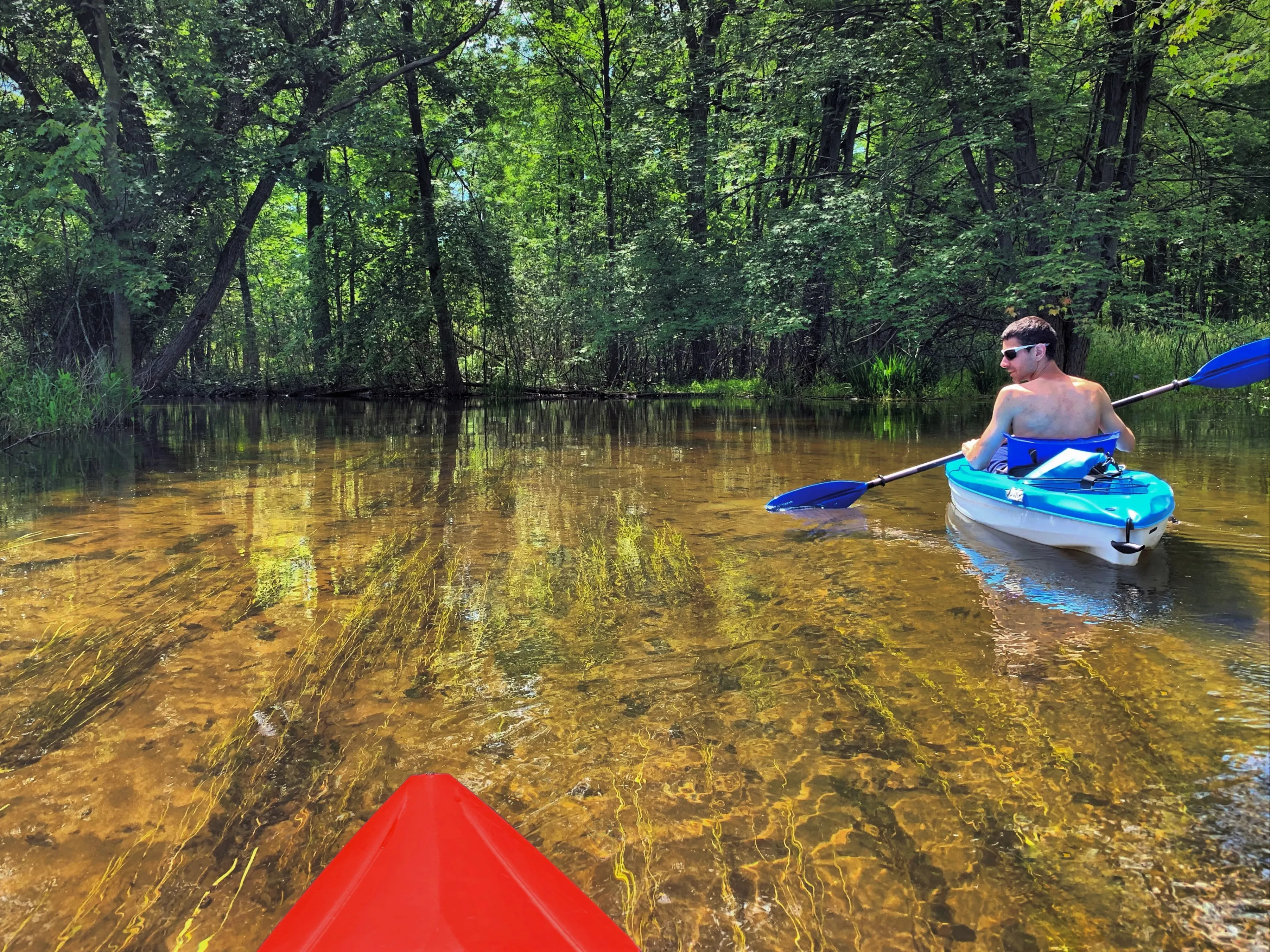 Paddle the Headwaters of the Clinton River