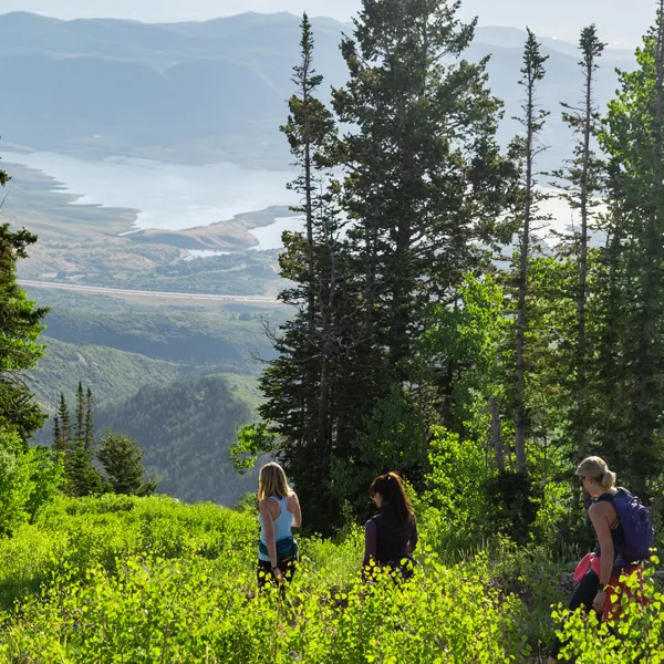 Go Wild at Deer Valley this Summer