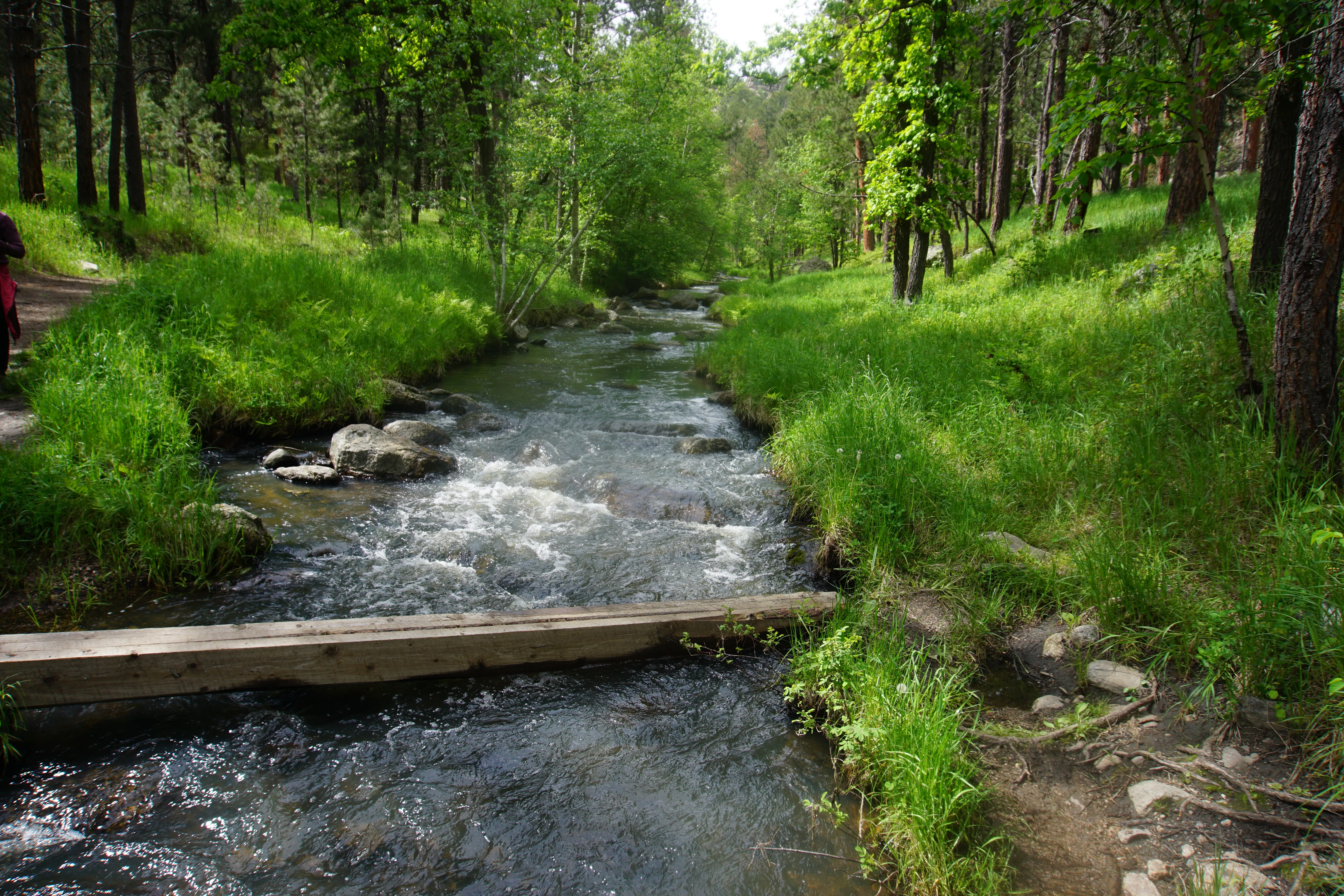 Hike Grace Coolidge Walk-In Area
