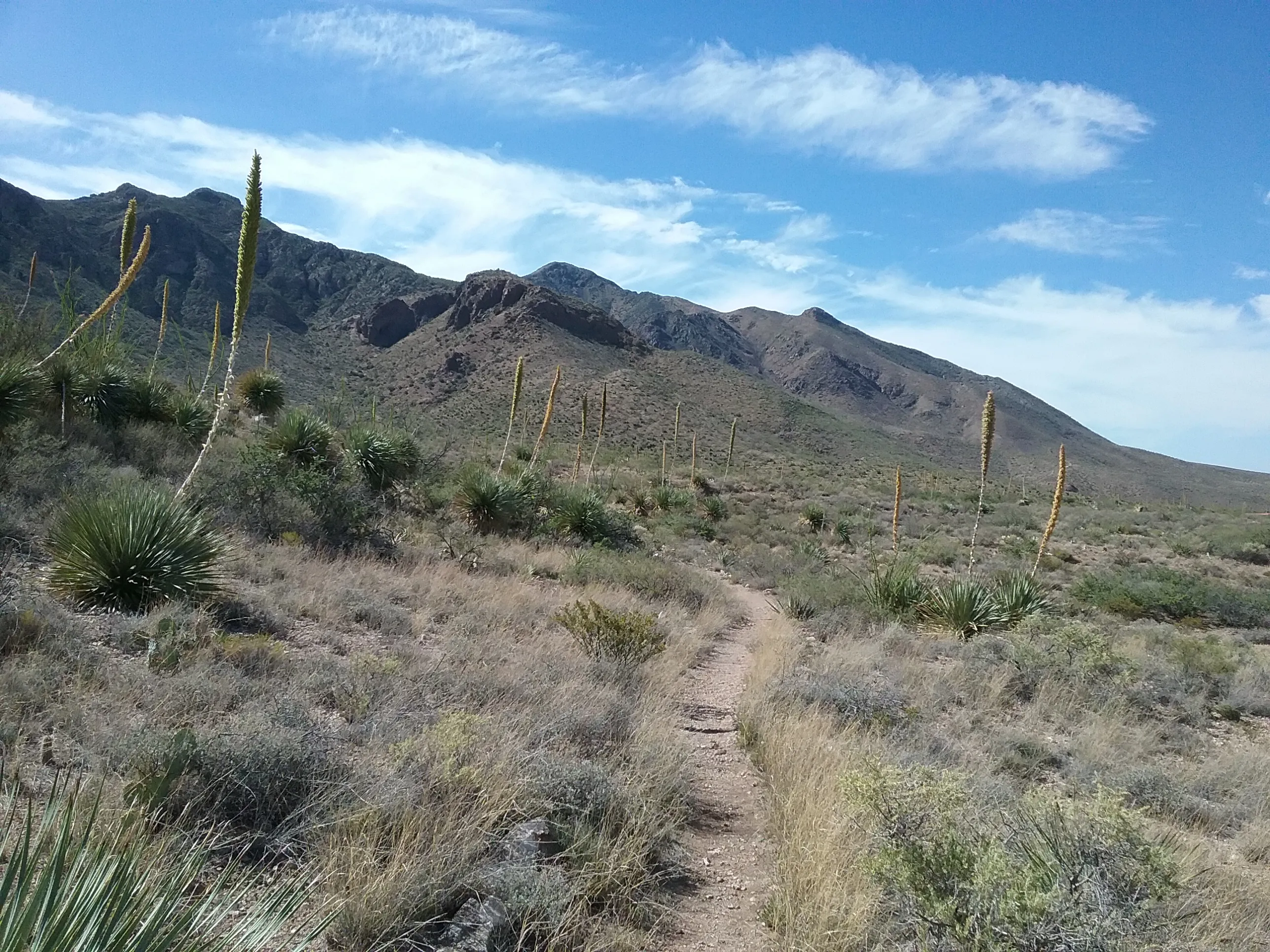 Hike the Tom Mays Trail