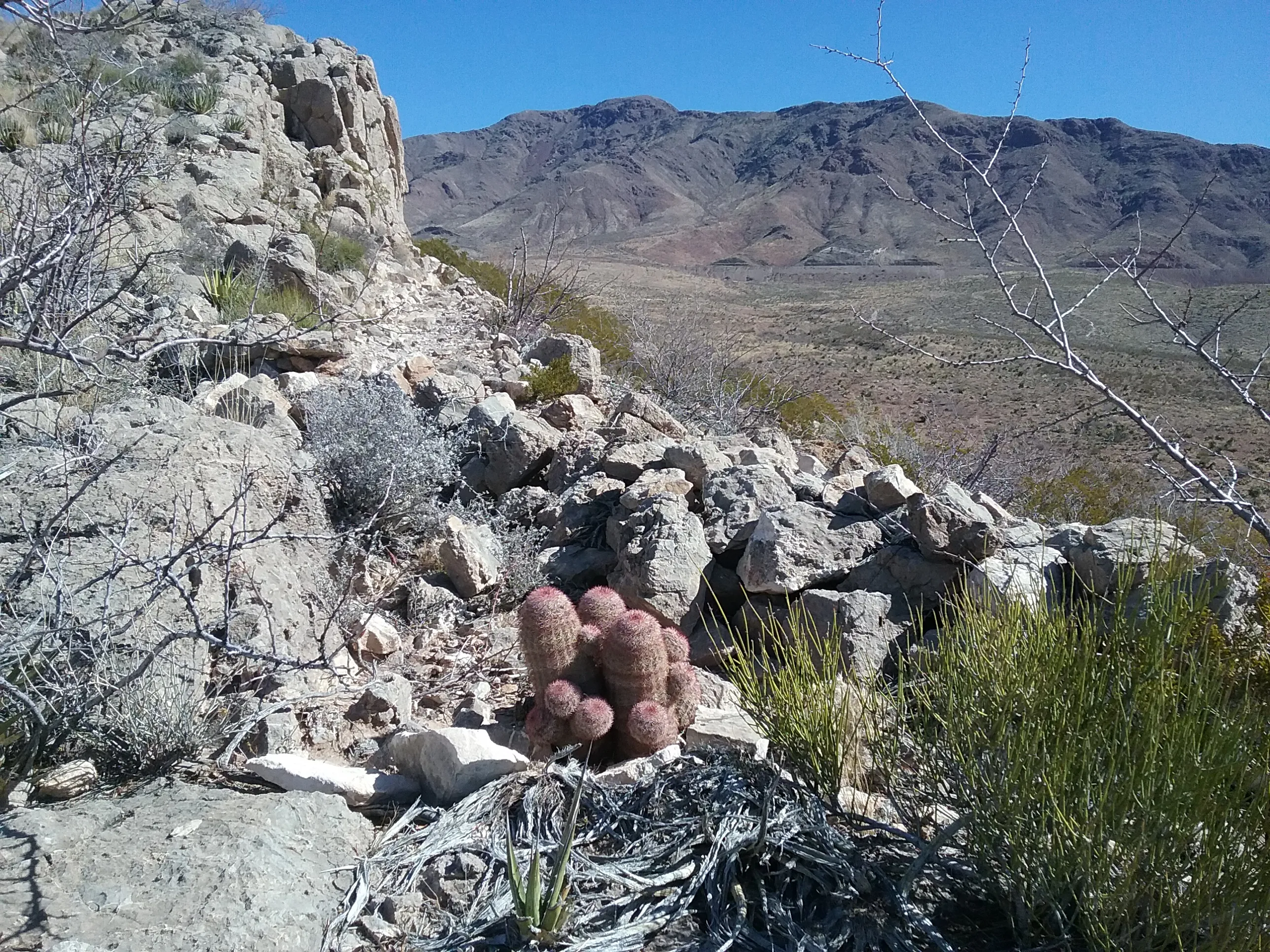 Granola Bowl Loop Trail