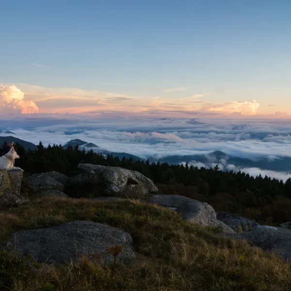 Our Favorite Hike in Every State