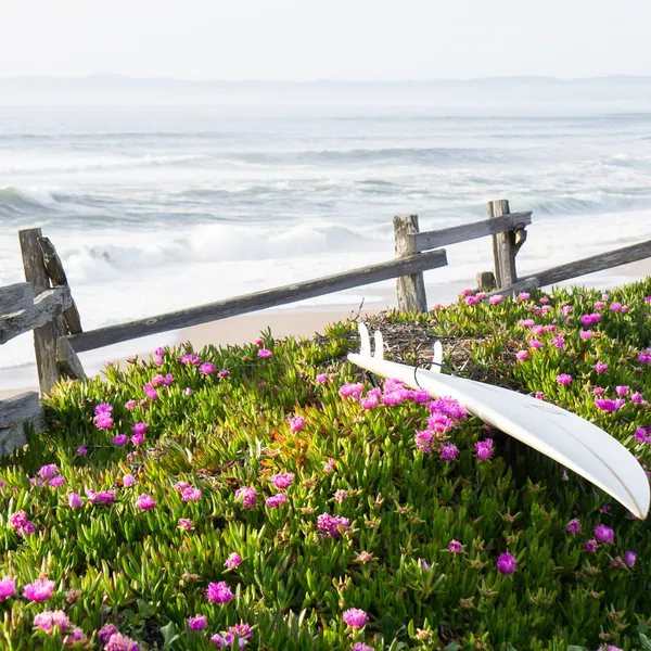 5 Marin County Beaches to Explore