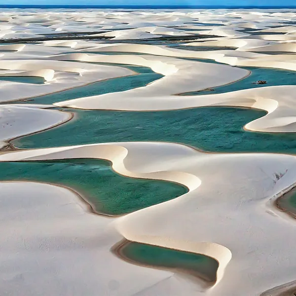 The Best Trips to Explore Like a Local
