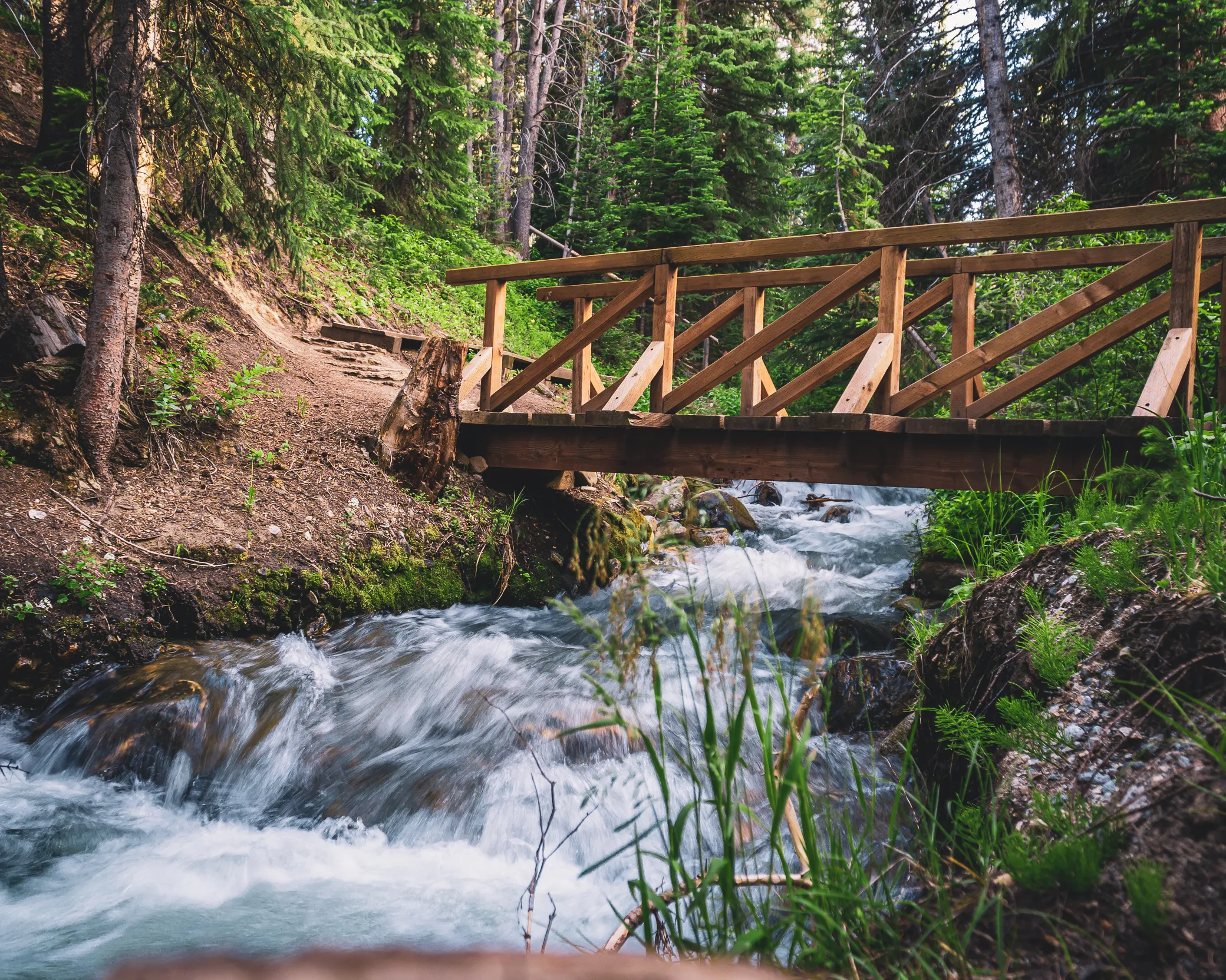 Sawmill Trail to Fairy Forest