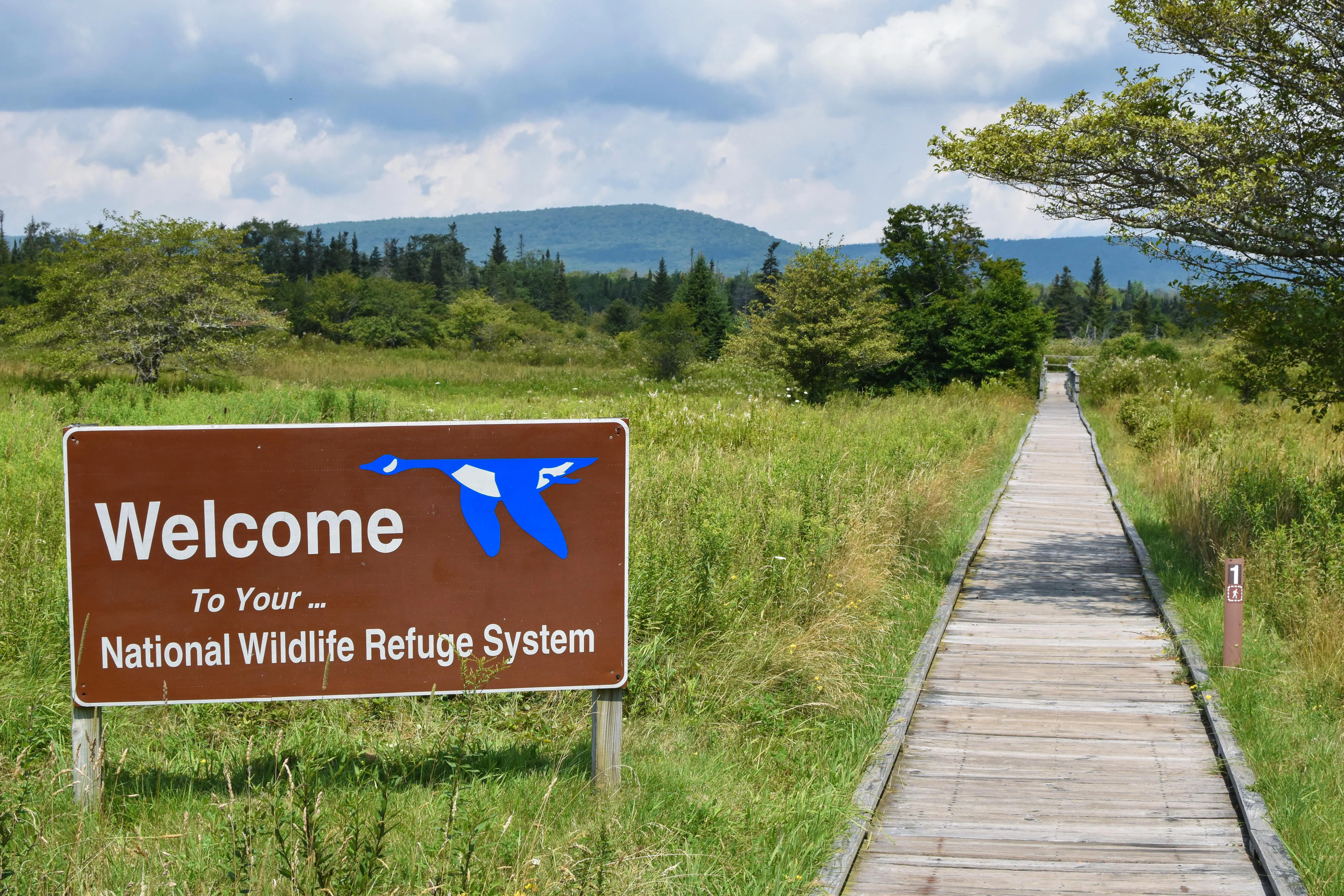 Freeland Boardwalk Trail