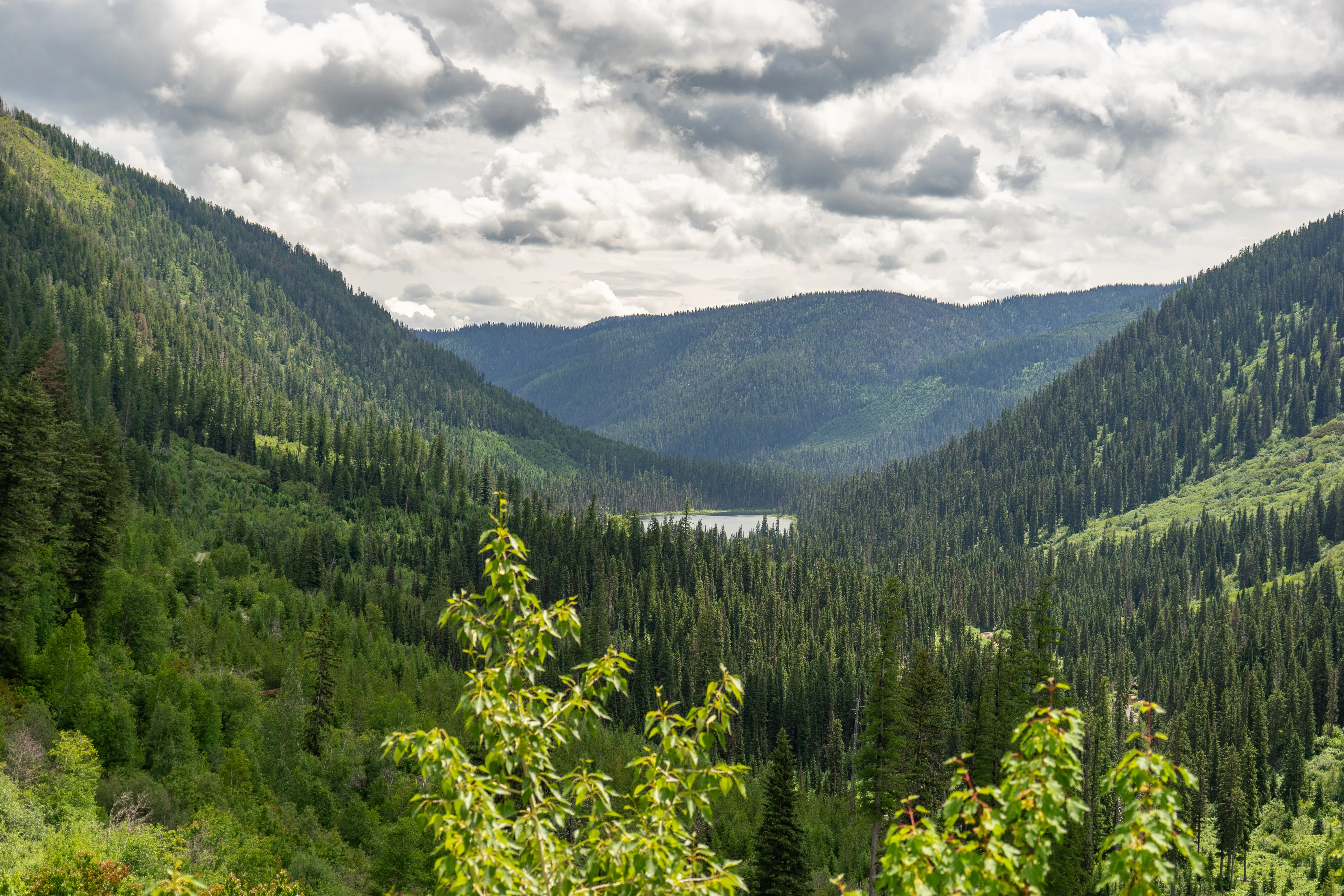 Explore Graves Creek Falls
