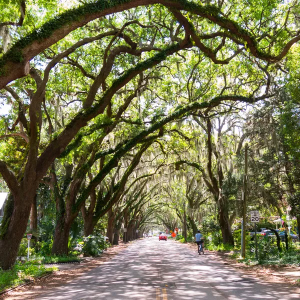 5 Late-Summer Trips for the Whole Family