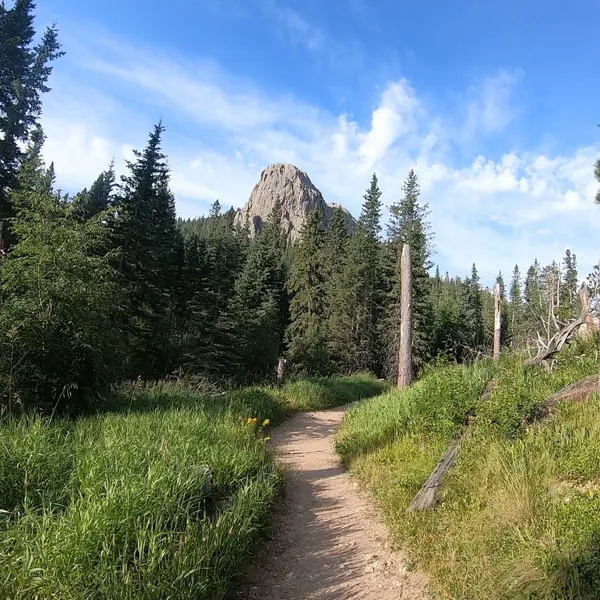 Black Elk Peak-Nic