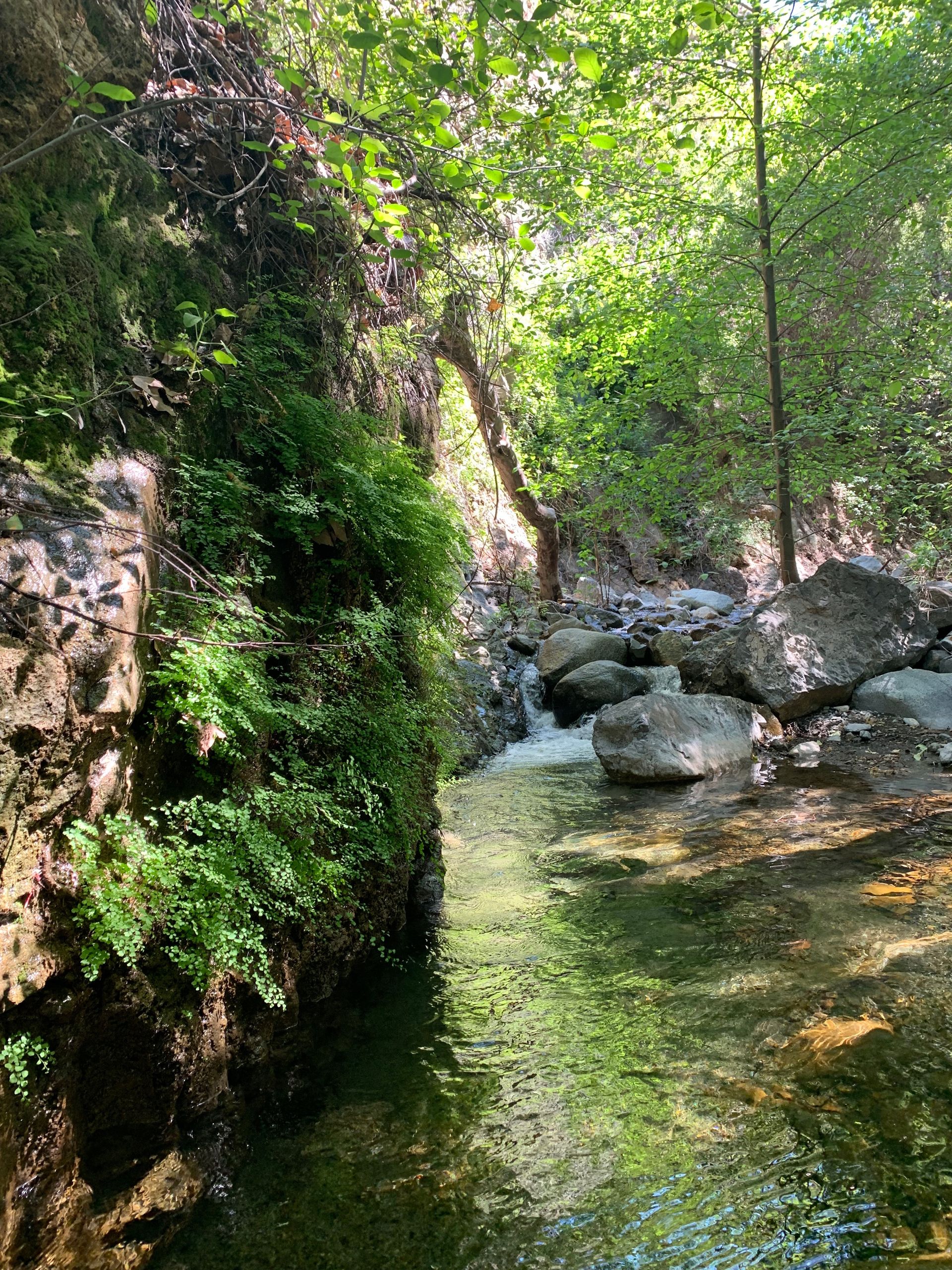Harding Falls Trail , Silverado, California | The Outbound