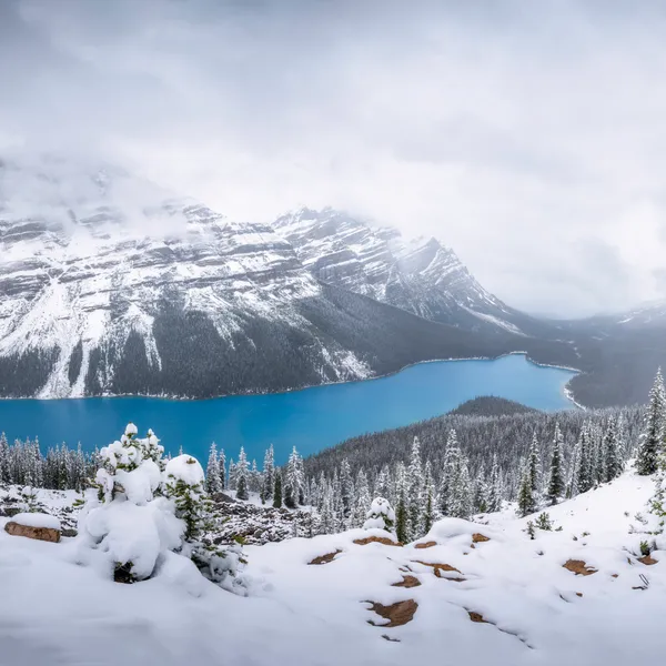 An Early June Photography Tour of the Canadian Rockies
