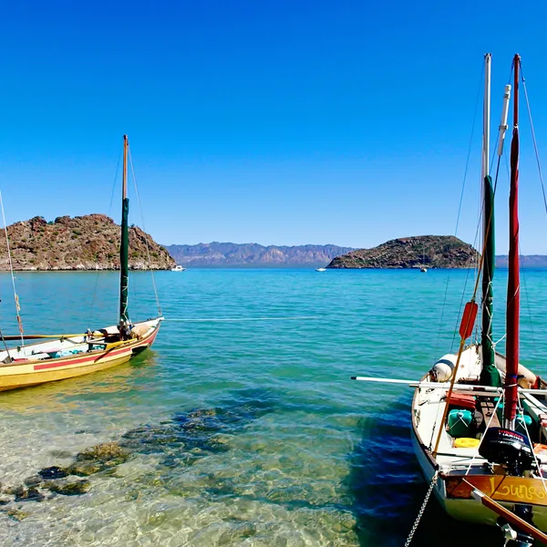 The Big Picture: How I Found My Grit on a Semester in Baja
