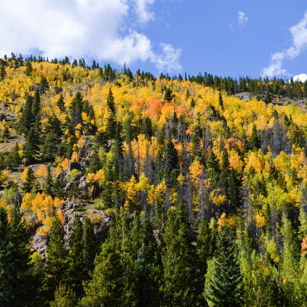 Fall is the Right Time to Visit Boulder