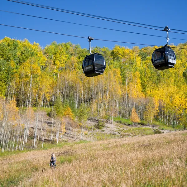 5 Hikes to See Fall Foliage in Aspen