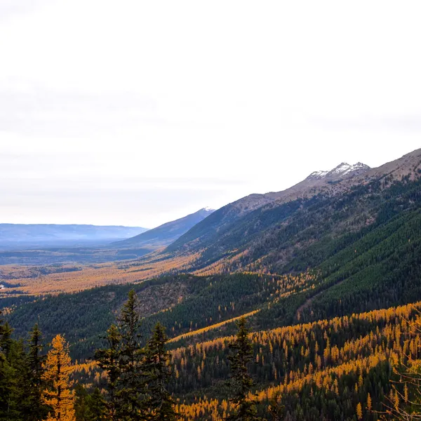 7 Awesome Adventures to Do This Fall in Montana