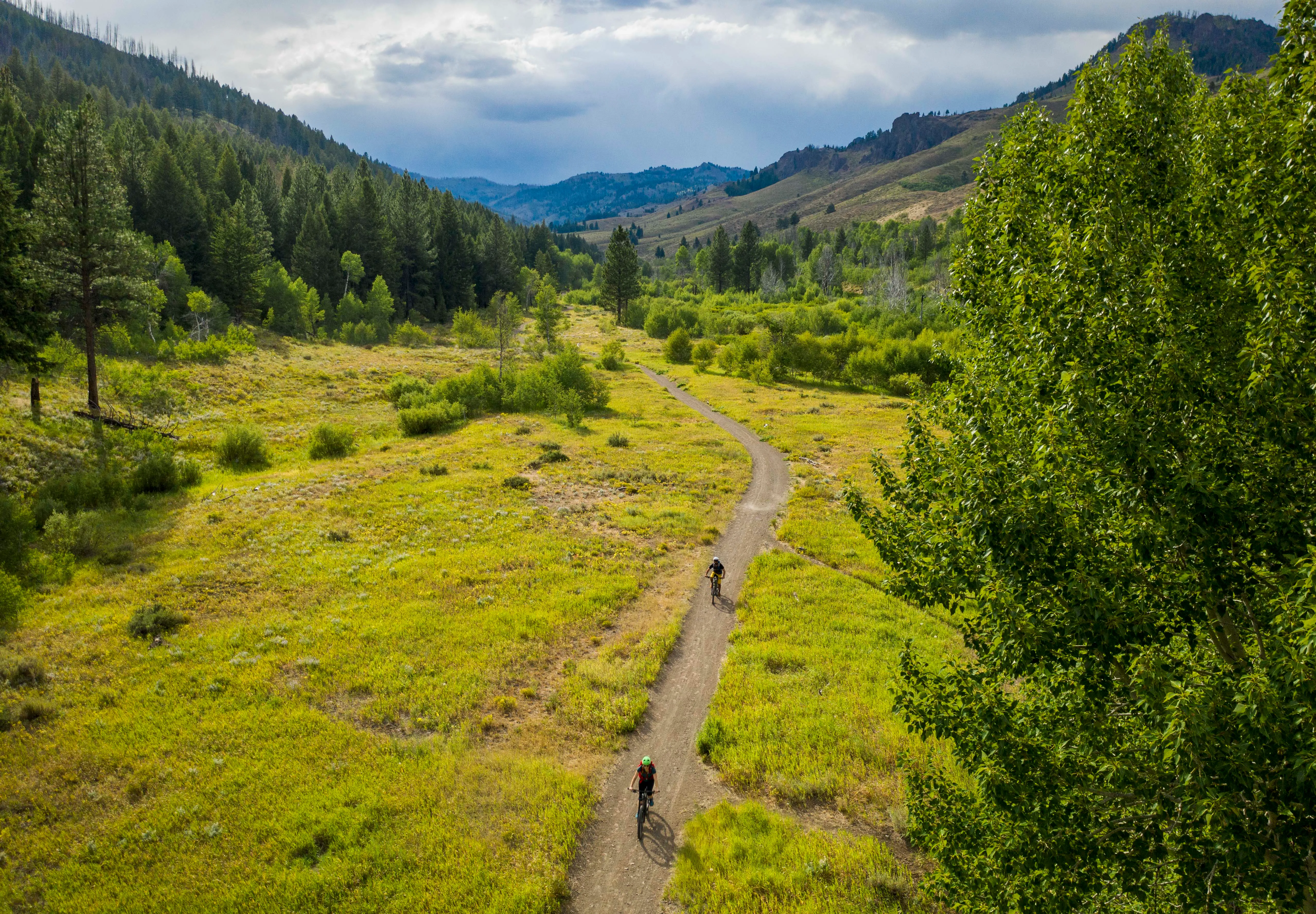 Mountain Bike the Griffin Butte Loop