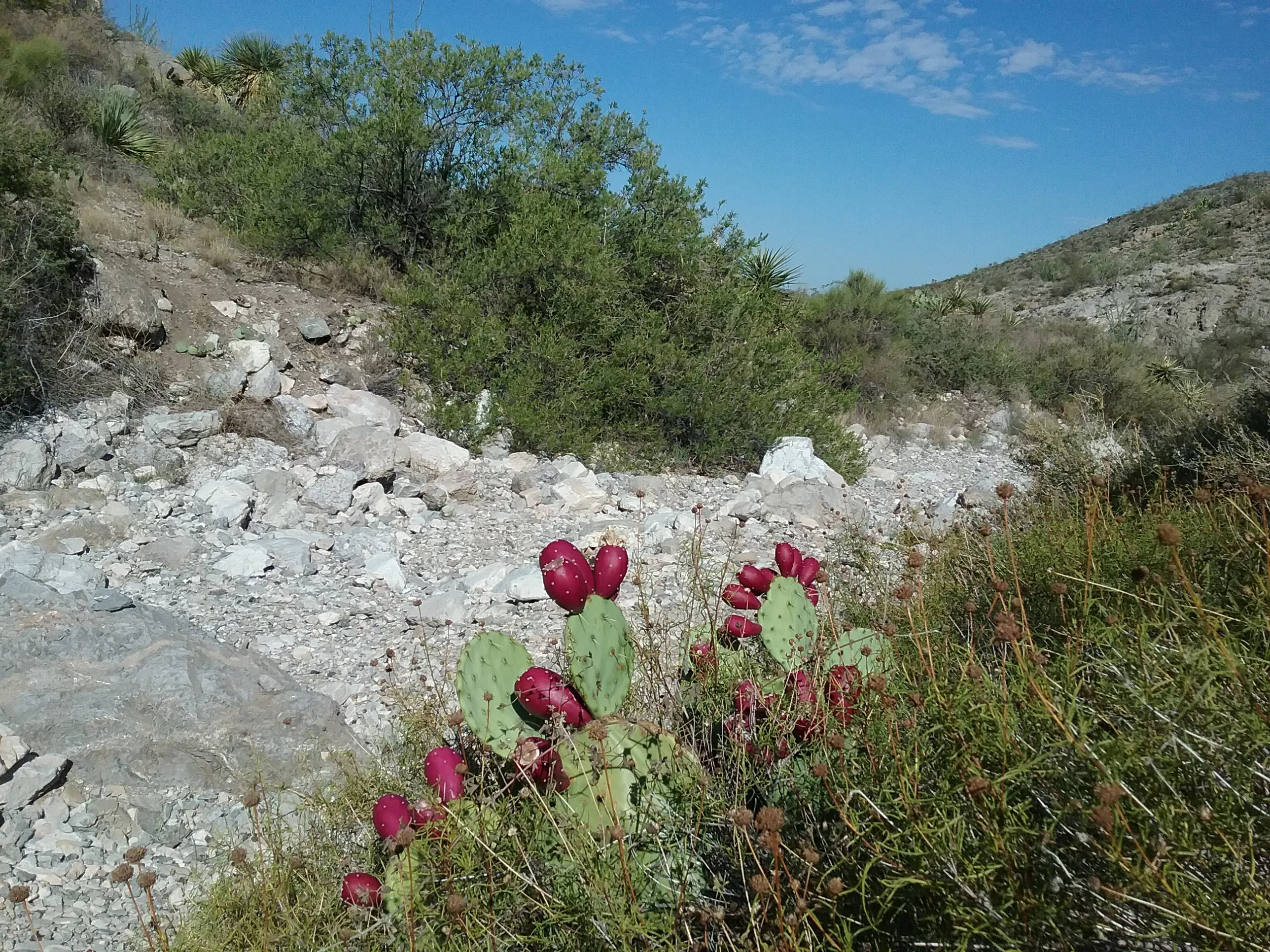 Hike the Schaeffer Shuffle Trail