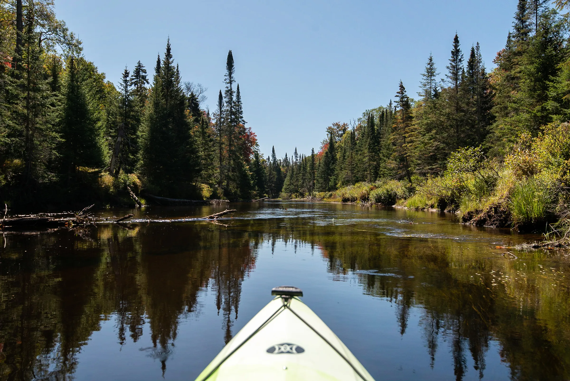 Paddle the North Branch of the Moose River