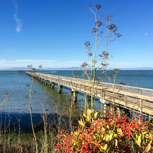 4 Paddling Adventures in Marin County