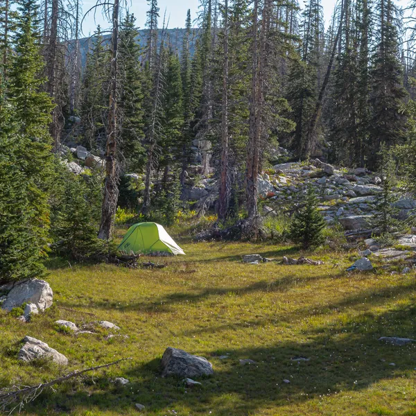 Review: Nemo Equipment Dragonfly 2 Person Ultralight Backpacking Tent
