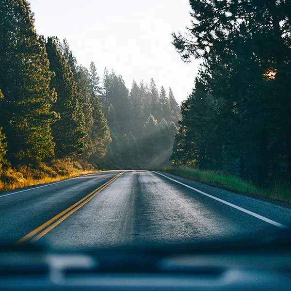5 Road Trips That Capture the Magic of Fall