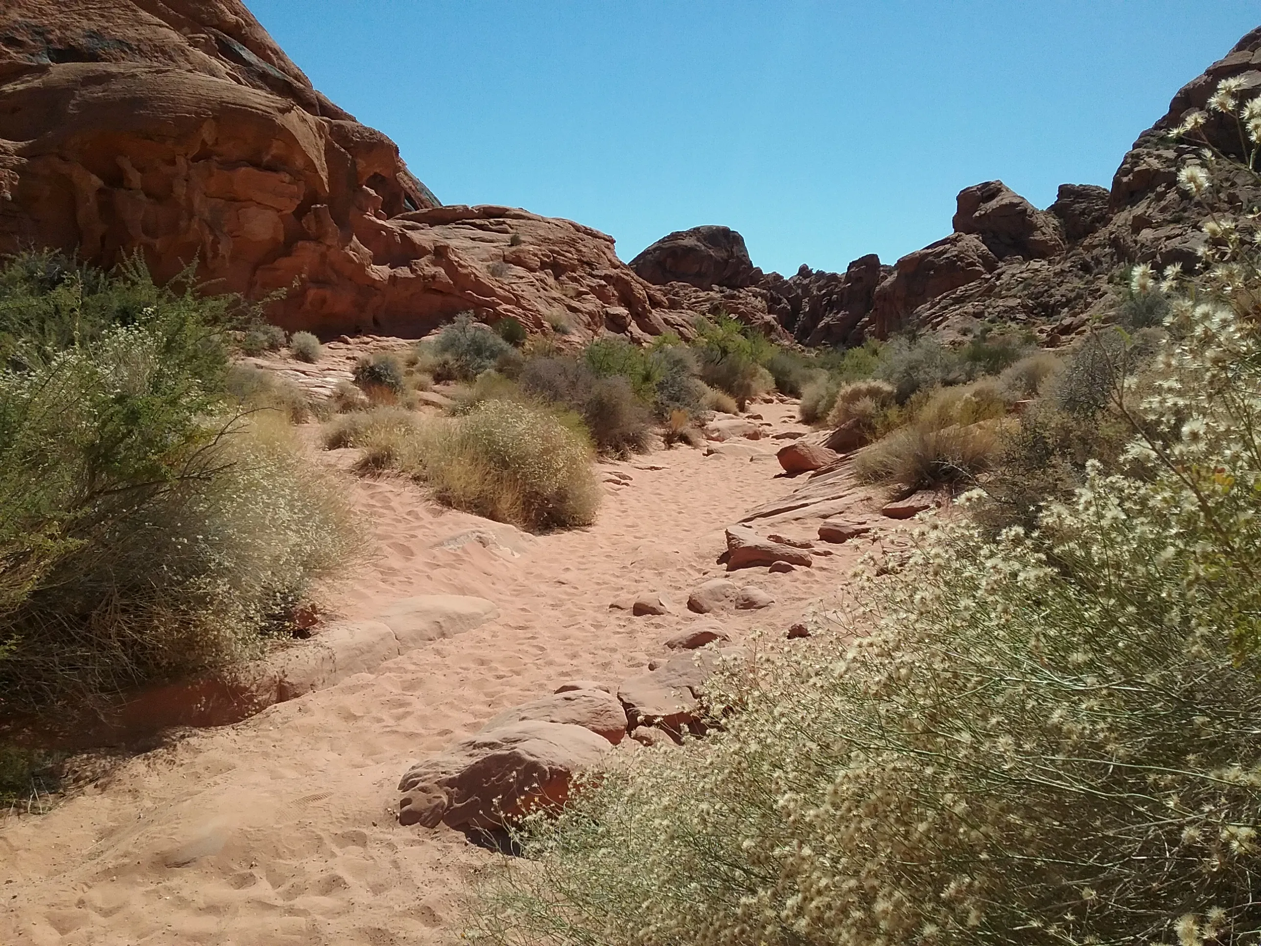 Hike the Petroglyph Canyon Trail to the Mouse's Tank