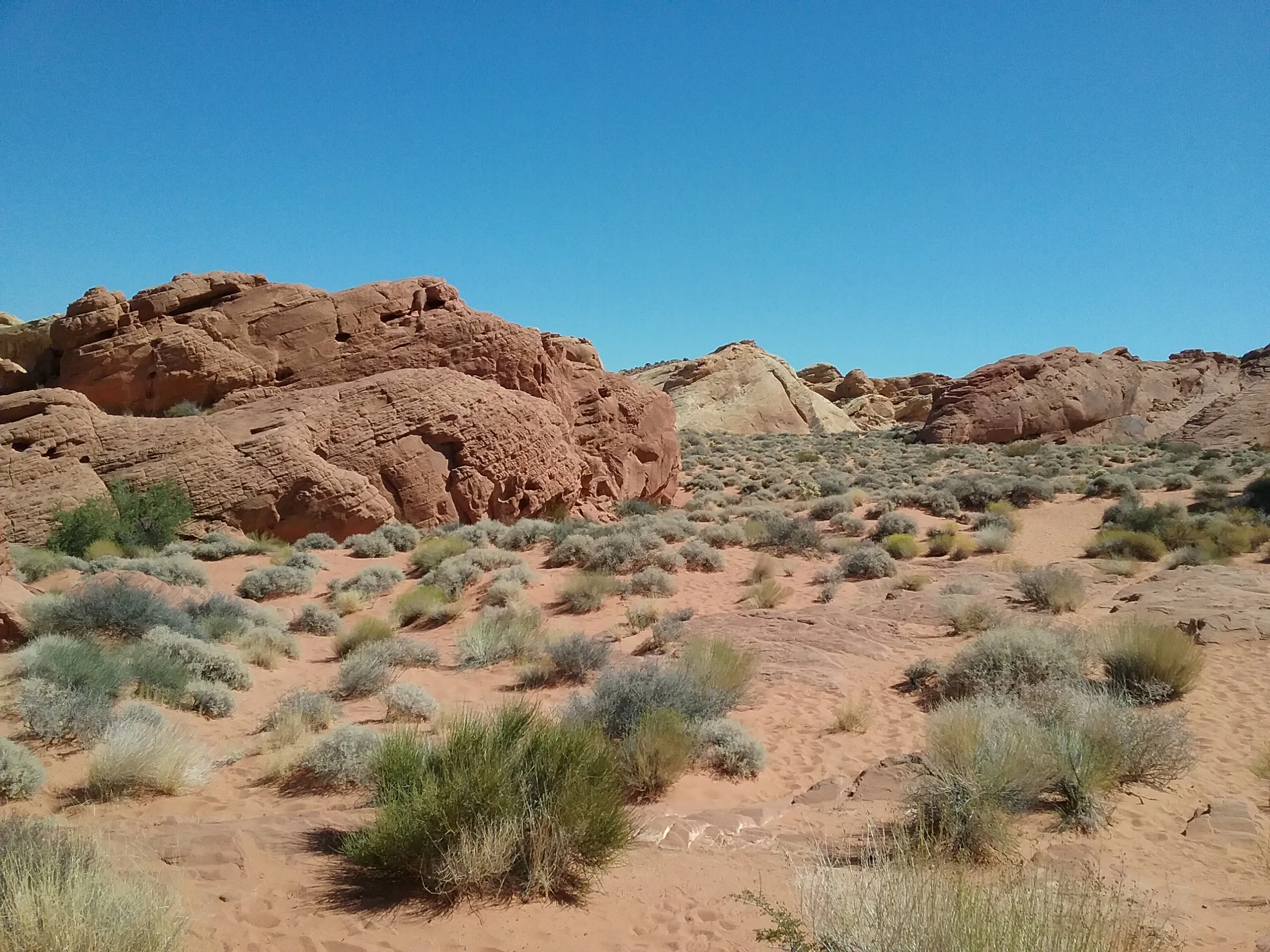 Hike the Rainbow Vista Trail